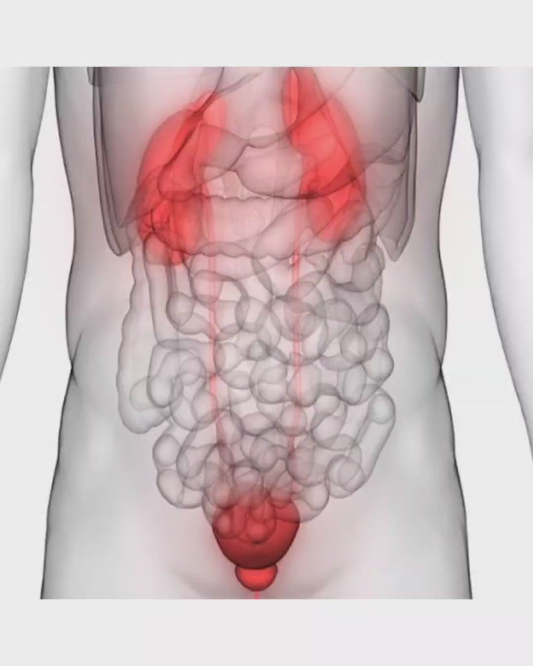 Prostate Formula & Solutions